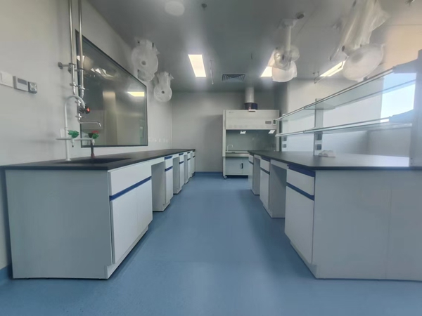 全钢香蕉视频黄色视频室化验台